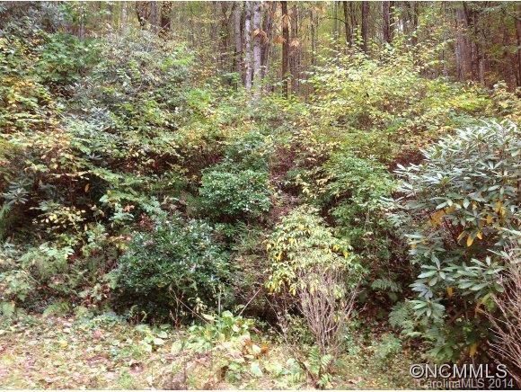 6401 Cullowhee Mountain Road - Photo 21