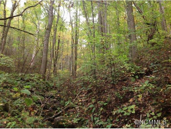 6401 Cullowhee Mountain Road - Photo 23
