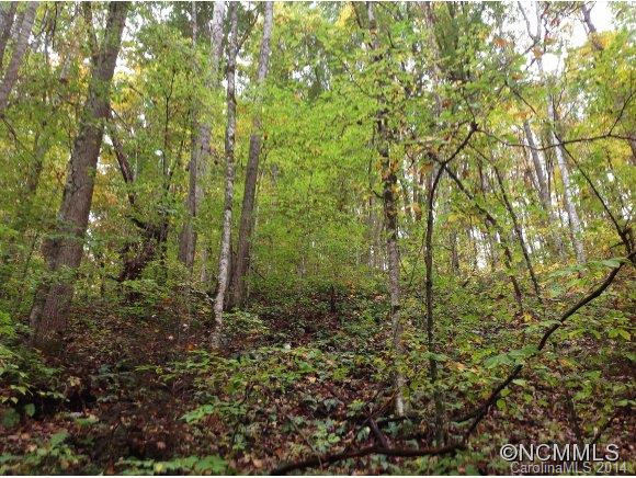 6401 Cullowhee Mountain Road - Photo 24
