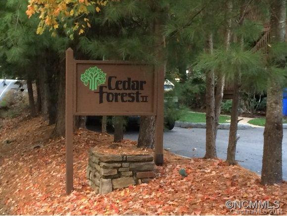 146 Cedar Forest Trail - Photo 12
