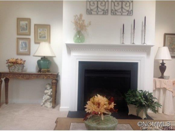 209 Drexel Farm Dr - Photo 6