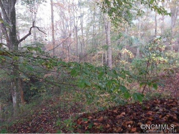 93 Dupont Estates Drive - Photo 2