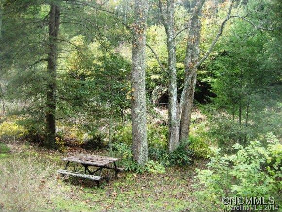 7212 NC 208 Highway - Photo 8