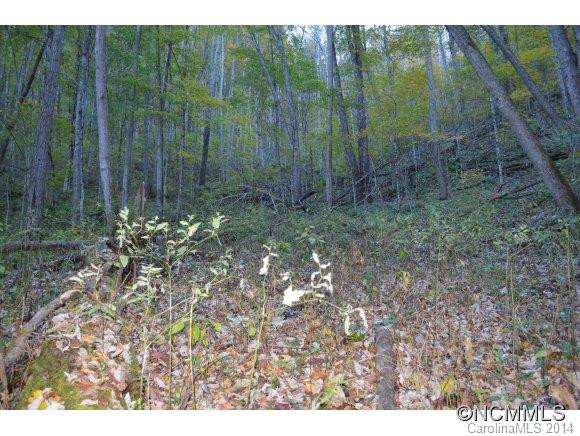 869 Apple Creek Rd. - Photo 21
