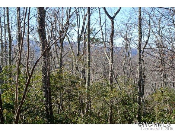 26 Rolling Ridge Trail - Photo 17