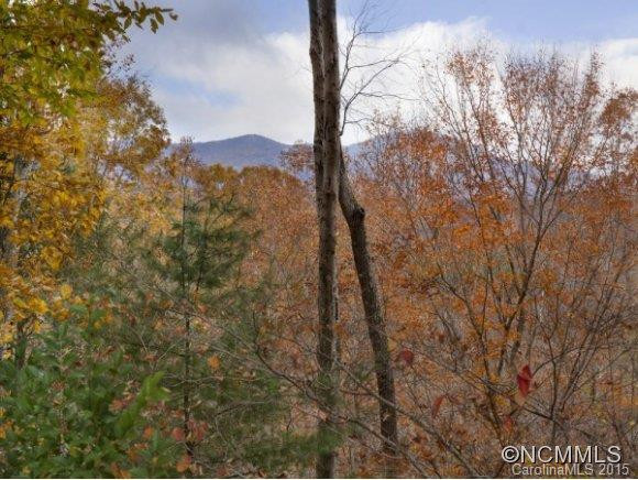 3016 RIVER ROAD - Photo 2