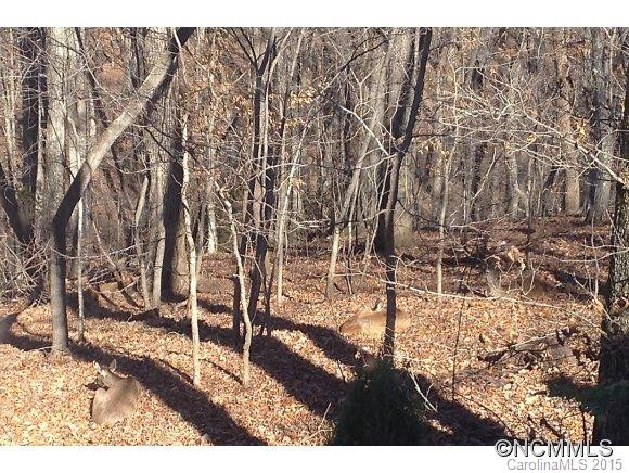 3016 RIVER ROAD - Photo 23