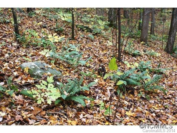 165 Fork Creek Road - Photo 19