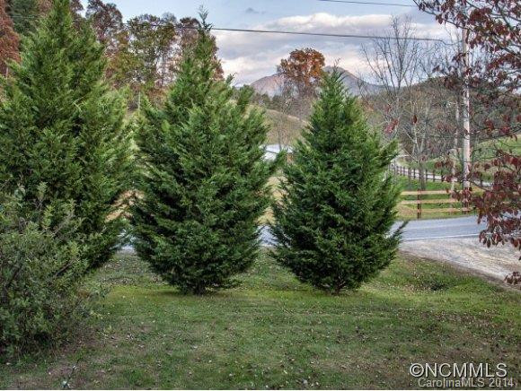 2029 IRON DUFF ROAD - Photo 24