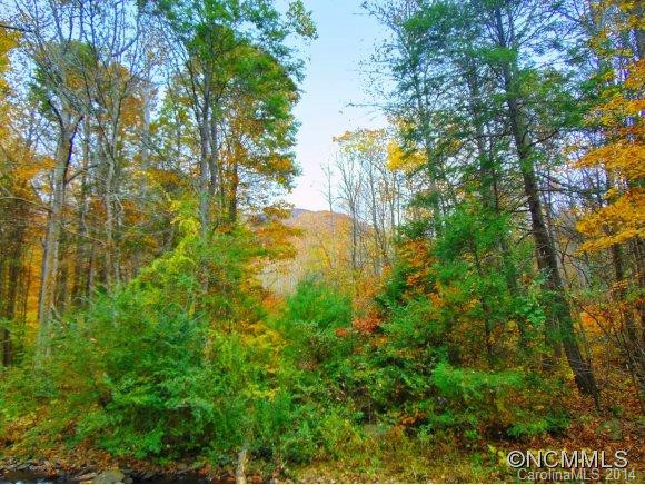 1331 Bee Tree Road - Photo 16