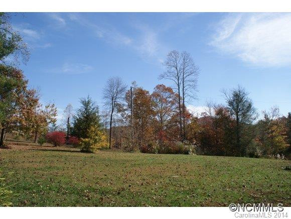 36 Little Cove Creek Drive - Photo 3