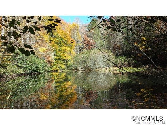 263 Bear Creek Rd - Photo 5