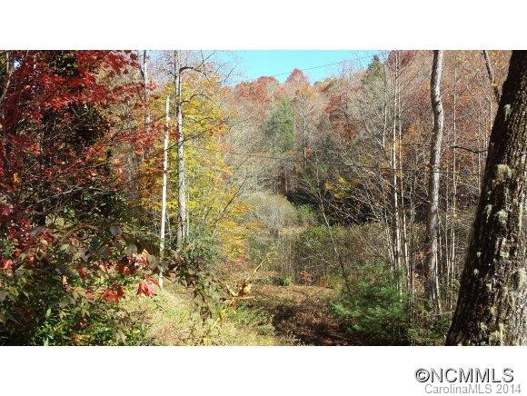 263 Bear Creek Rd - Photo 9