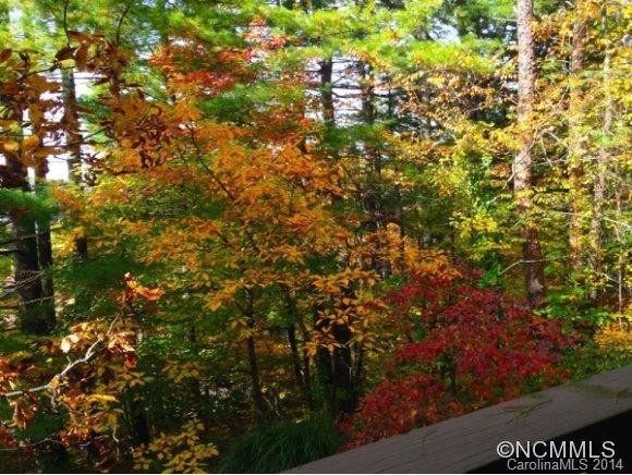 305 PINEY MOUNTAIN DR, P-1 - Photo 11