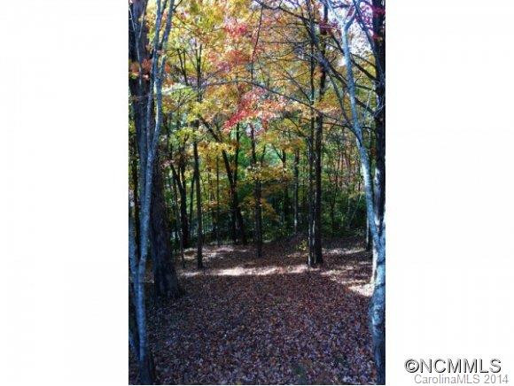 305 PINEY MOUNTAIN DR, P-1 - Photo 12