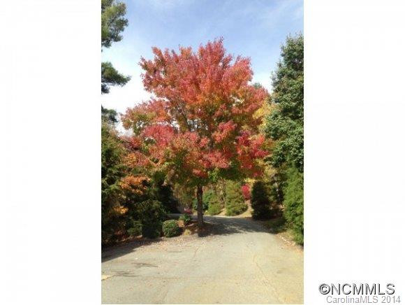 305 PINEY MOUNTAIN DR, P-1 - Photo 13