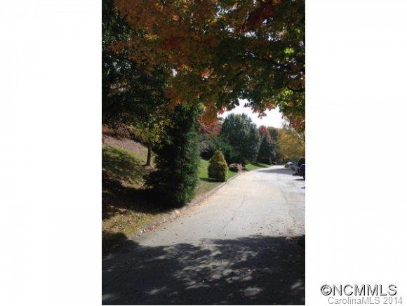305 PINEY MOUNTAIN DR, P-1 - Photo 14