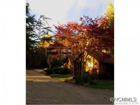 305 PINEY MOUNTAIN DR, P-1 - Photo 15