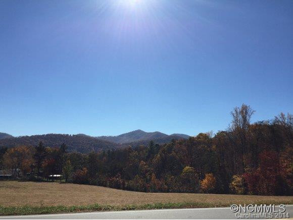 620 Enka Lake Road - Photo 3