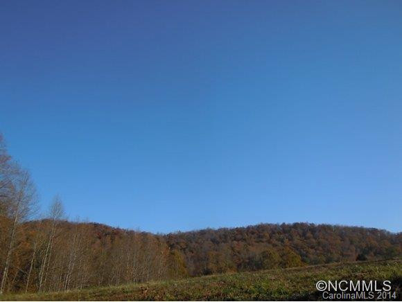 2213 Brevard Road - Photo 14