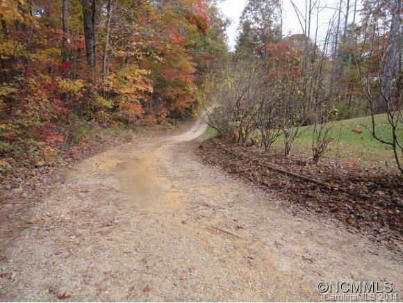 115 Gray Wolf Ln - Photo 6