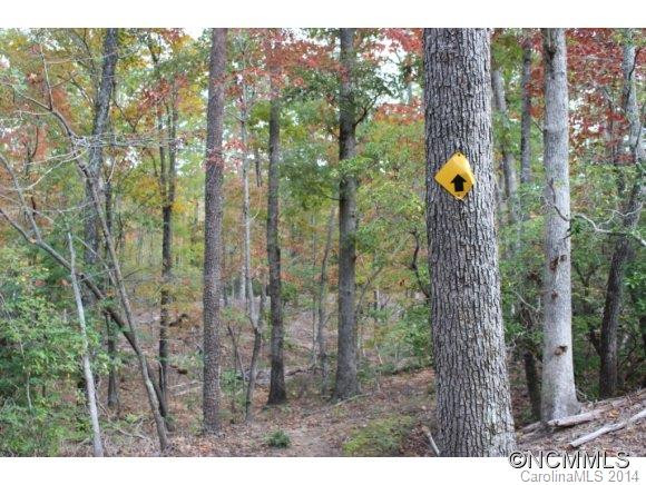 6075 Hunting Country Road - Photo 24