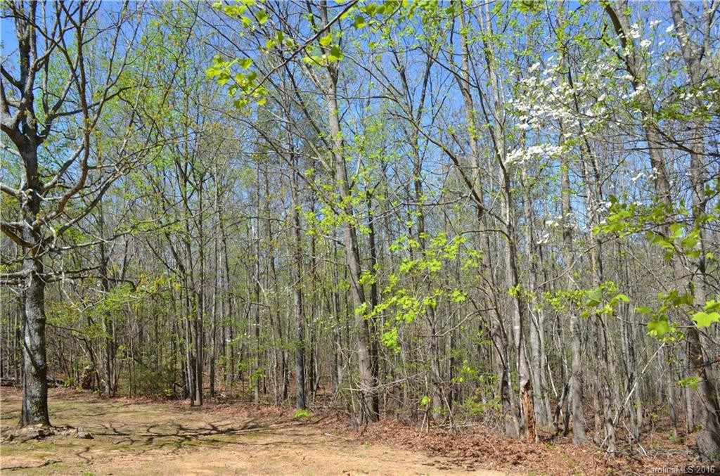 1071 Elliott Road - Photo 20