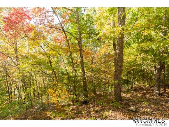 10 Chestnut Drive - Photo 16