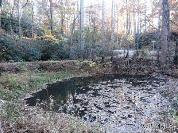 173 Cherokee Springs Trail - Photo 4