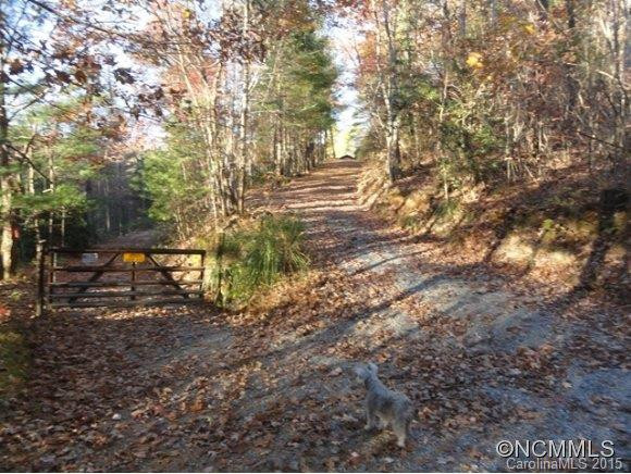 173 Cherokee Springs Trail - Photo 7