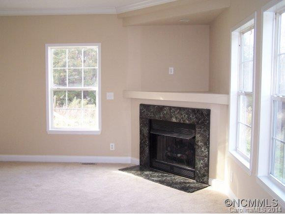 329 Providence Farms Drive - Photo 3