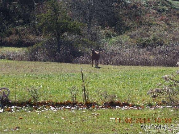 263 Peters Cove Road - Photo 8