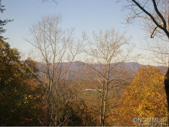 107 Chalk Creek Parkway - Photo 14