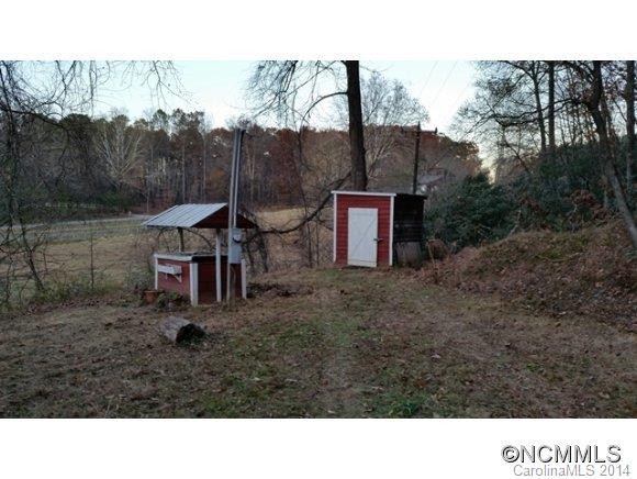 443 S Mills River Road - Photo 2