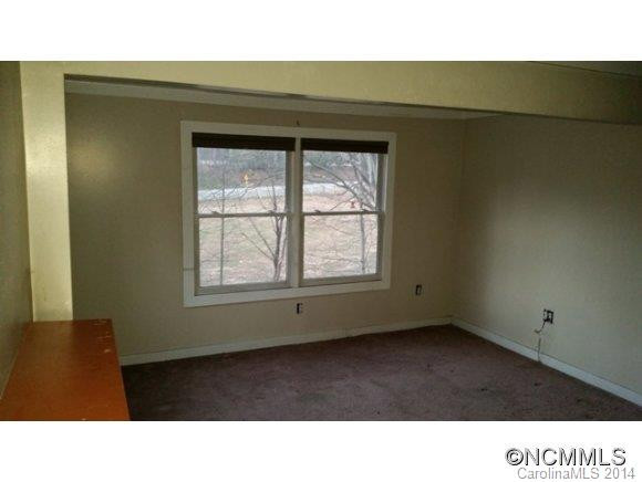 443 S Mills River Road - Photo 7