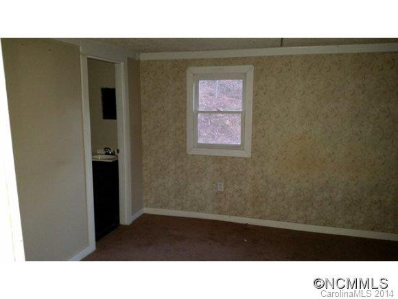 443 S Mills River Road - Photo 8