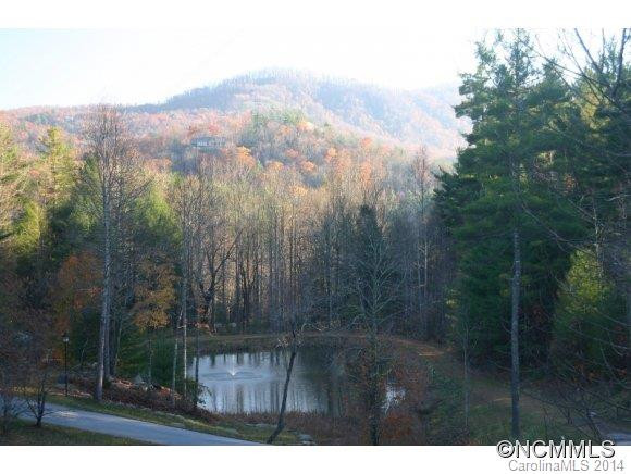 323 Daylily Drive - Photo 17