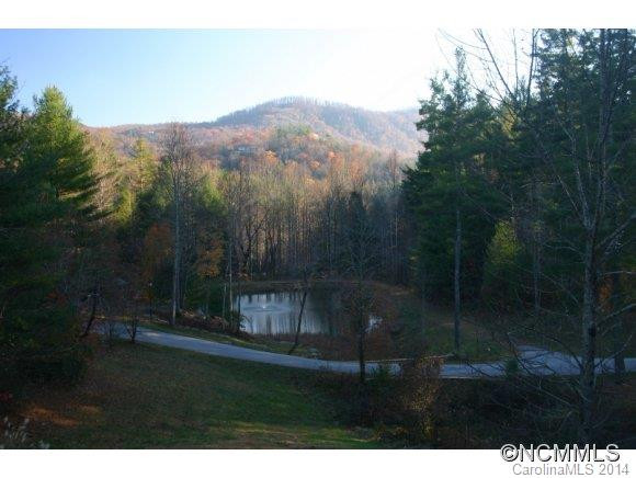 323 Daylily Drive - Photo 3