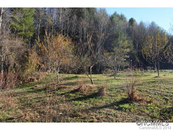 379 Doe Branch Road - Photo 17