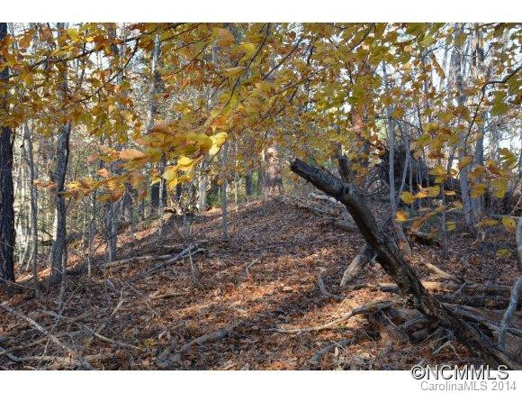 379 Doe Branch Road - Photo 22