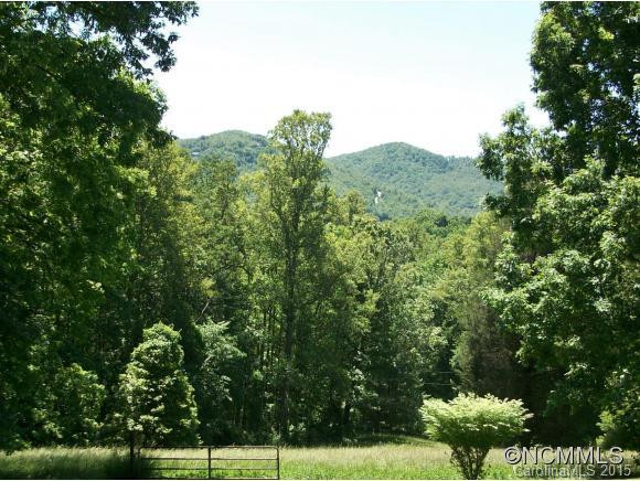 243 Sleepy Gap Road - Photo 2