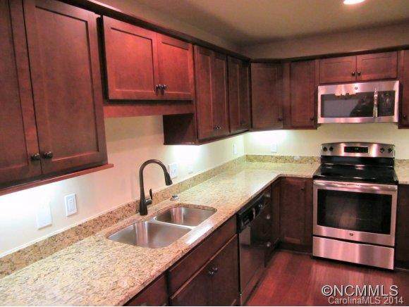 29 W French Broad st unit 313 - Photo 4