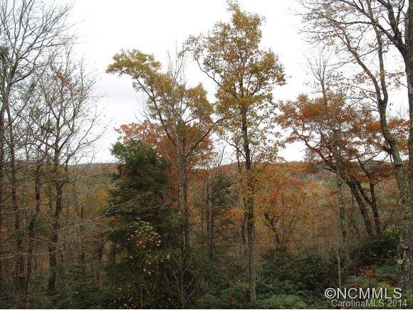 183 Wildwood Way #9 - Photo 5