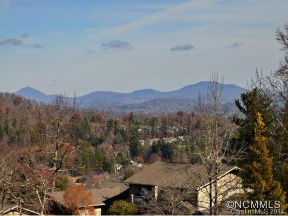 110 COUNTRY RIDGE ROAD - Photo 4