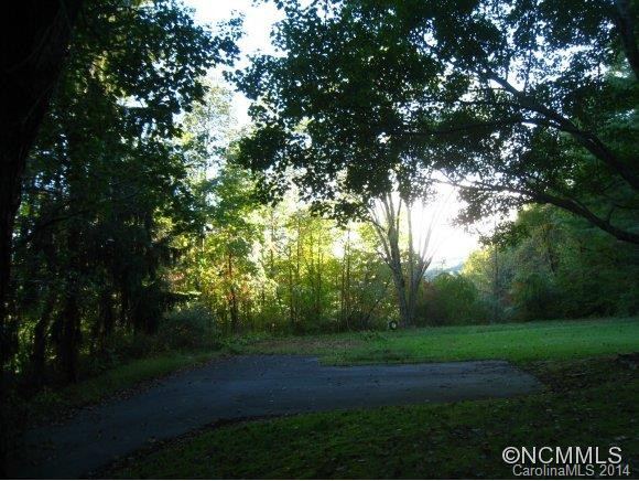 113 Shallow Creek Drive - Photo 4