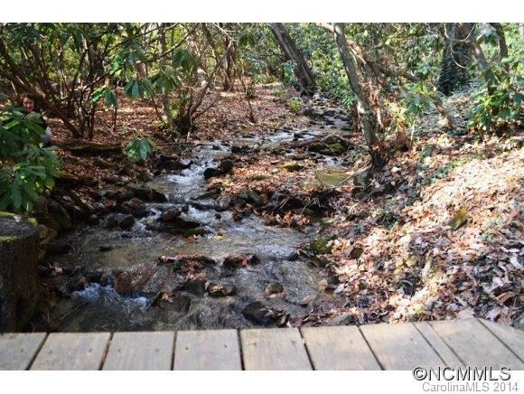 409 Laurel Branch Road - Photo 2