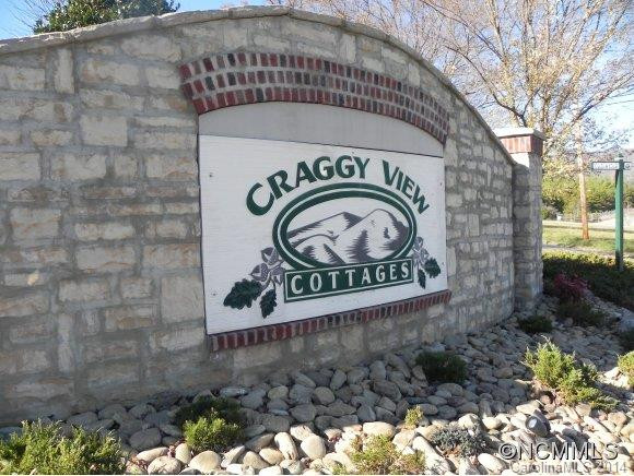 42 Craggy Vista Drive - Photo 21