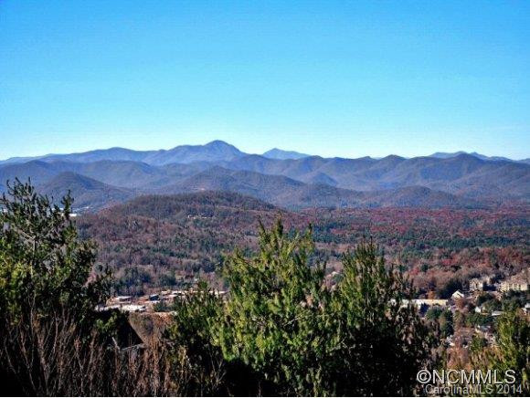 119 DISTANT VIEW DRIVE - Photo 9