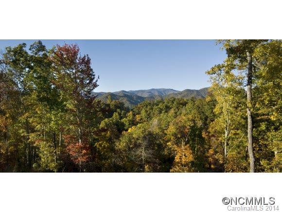 785 Fontana Ridge Rd. - Photo 4