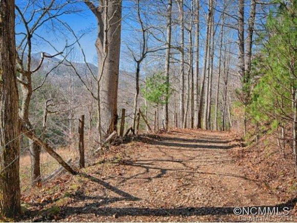 2404 PINEY HILL ROAD - Photo 23